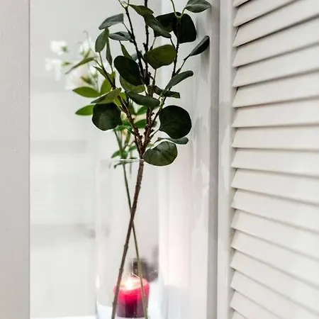 Elegant And Cozy In The Amazing Part Of Downtown Apartment Warsaw